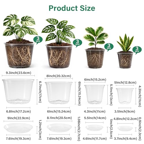 Clear Nursery Pots with Saucers (5/6/8/10 Inch-12Pcs)