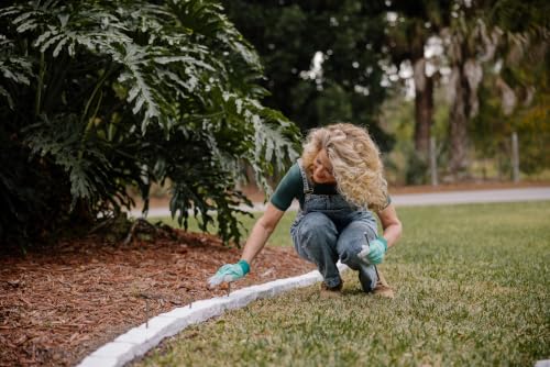 Landscape Edging (60 Count (brick))