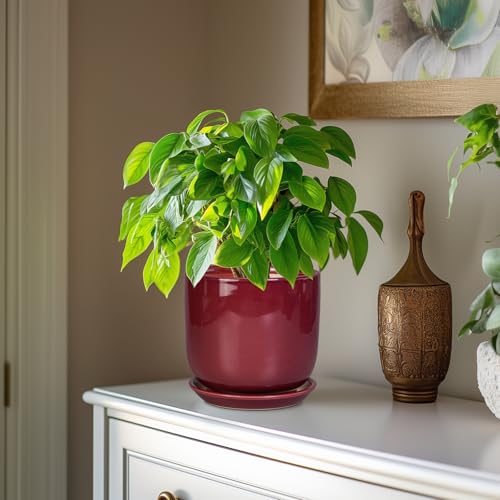 Ceramic Planter for Plants (7 Inch / Red)