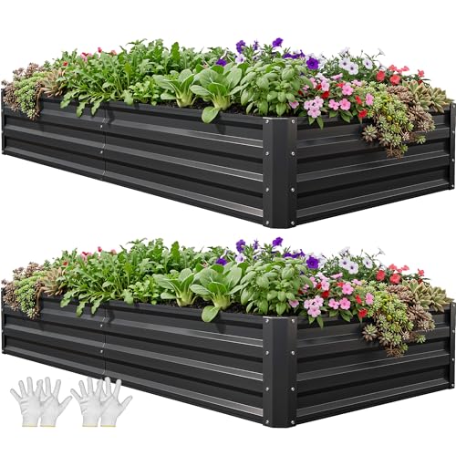 6x3x1ft 2pcs Large Raised Garden Bed Kit (Black / 6x3x1ft 2pcs)