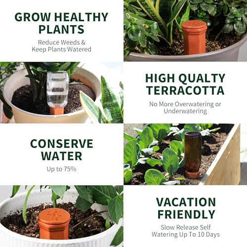 Large Terracotta Watering Spikes with Lids