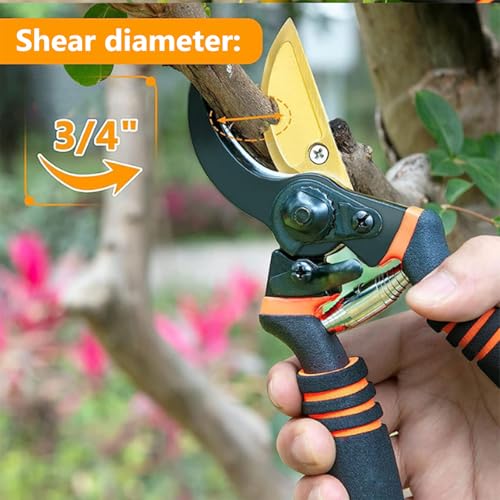 Germany Pruning Shears For Gardening (Red/Black)