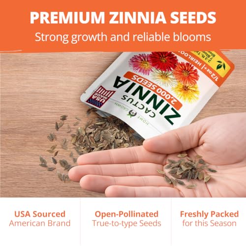 Zinnia Cactus Mix 2000 Flower Seeds Zinnia elegans