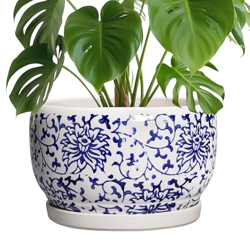 Ceramic Pots for Plants