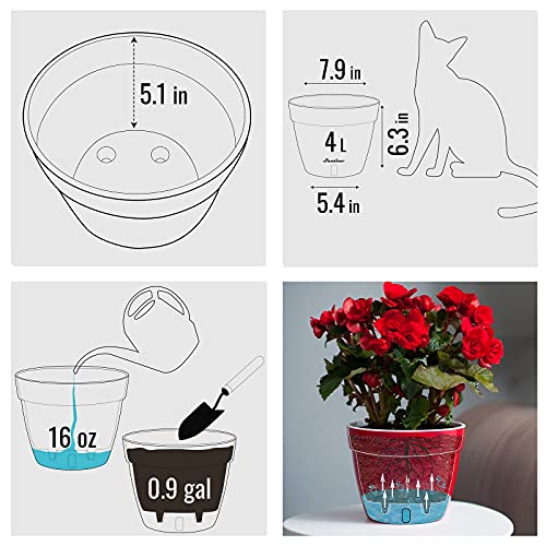 ASTI 7.9 Inch Self Watering Planter Gold