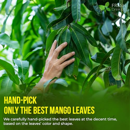 Premium 8 oz Dried Mango Leaves (8oz)