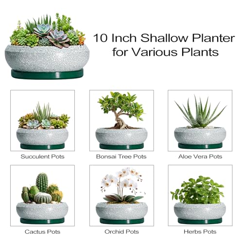Succulent Planters 10 Inch (10 Inch / Blackish Green-white)