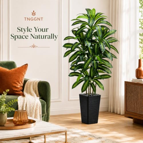 Artificial Dracaena Tree (Dark Green – Black Pot / 6FT)