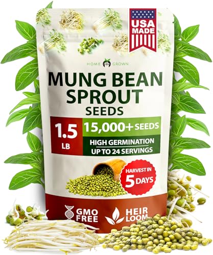 Mung Bean 15 000+ Sprouting Seeds 1.5 lb Vigna Radiata
