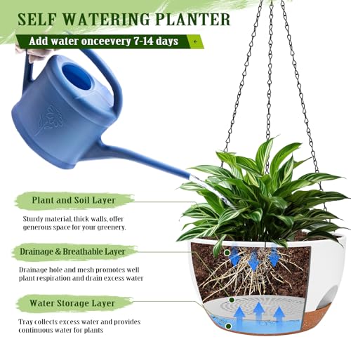 10 Inch Self Watering Hanging Planters with Metal Chain & Macrame Hangers (2 Type Plant Hangers White / 12 Inch)