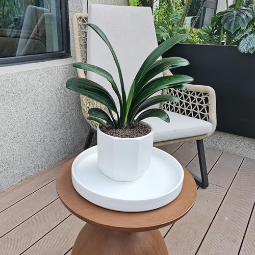 Plant Saucer for Indoors (12in(1 Pack) / Frosted White)