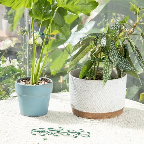 5PCS 2.75IN Monstera Plant Stem Support (Green / 2.75IN*2.75IN)