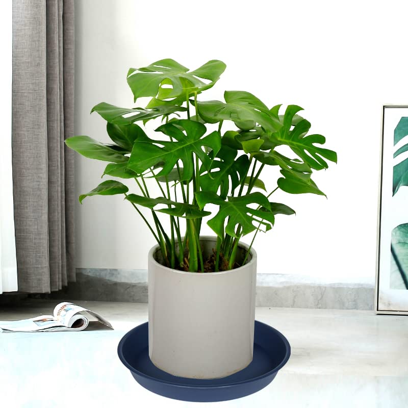 2 Pack of 10 inch Plant Saucer Gray (10" (2 pack) / Blue)