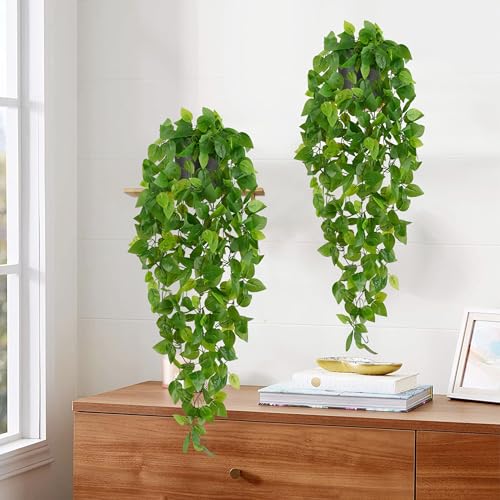 Fake Hanging Plants (Epipremnum Aureum / 2Pcs Plants with Pot)