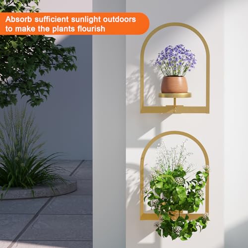 Wall Plant Holder (3 Count)