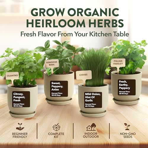 4 Herb Indoor Garden Kit