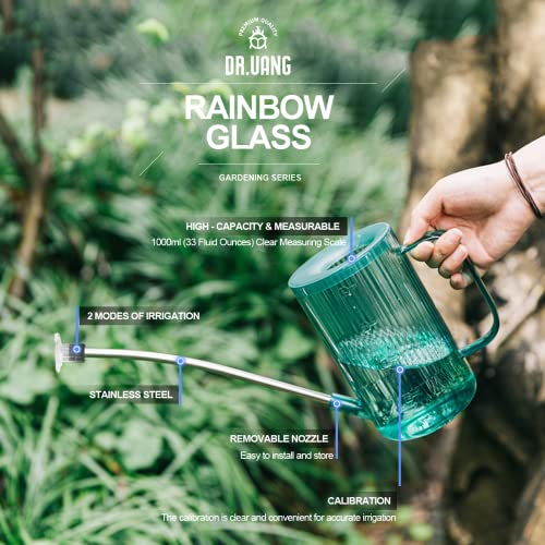 Small Watering Can Indoor Plants with Long Spout