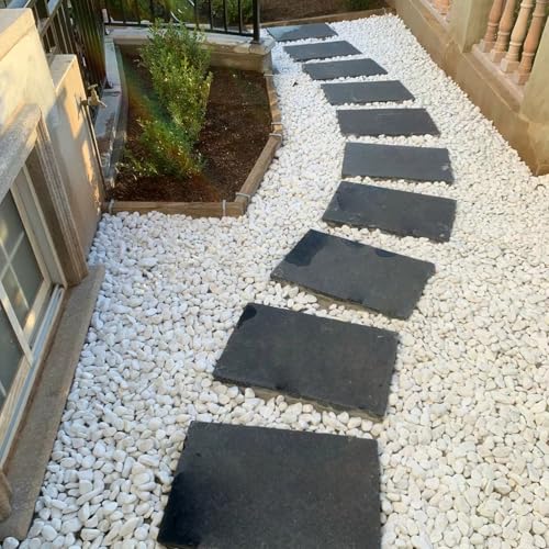 20 lbs White Rocks for Landscaping