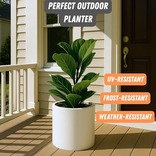 Large Planter for Indoor or Outdoor (Matte White With Saucer / 12 Inch)