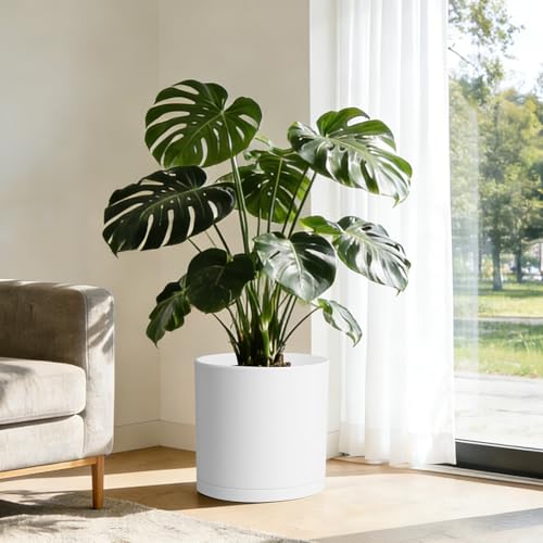 14 Inch Heavy (White / 14 Inch Deep)