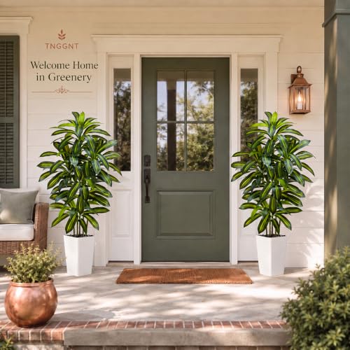 Artificial Dracaena Tree (Dark Green – White Pot / 6FT)