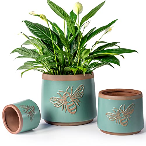 Terracotta Pots (8+6+4 Inch / Turquoise Bee)