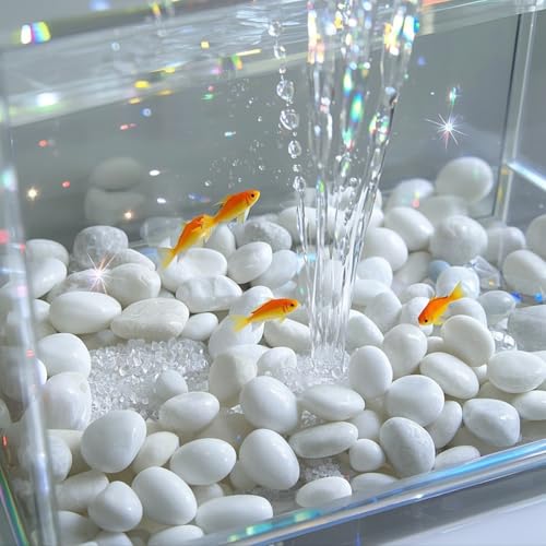 River Rocks 40lbs White Pebbles for Indoor Plants