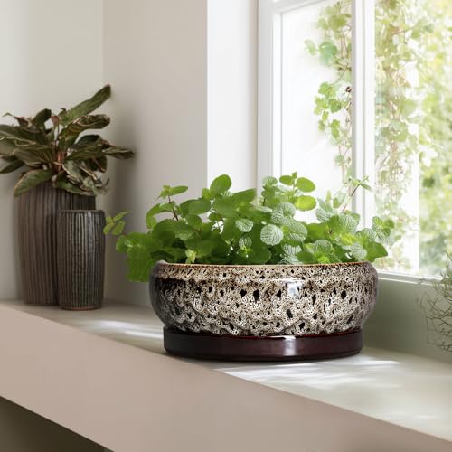 Bonsai Planter 13 Inch (13 Inch / Leopard Brown-white)
