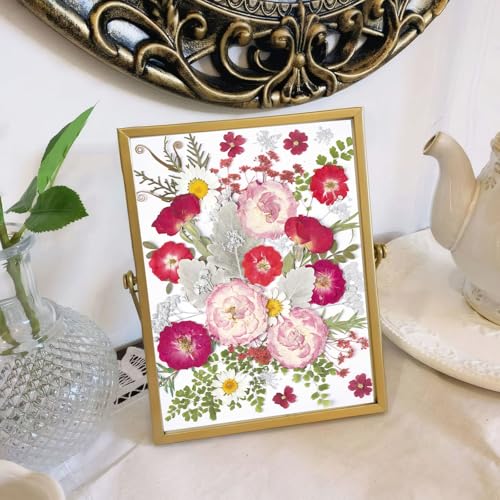 48 Pcs Mix Natural Dried Pressed Flowers for Cake Decorating (Rose)