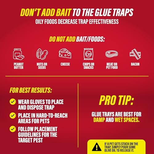 20pk Mouse Glue Traps Indoor for Home (20 Count)