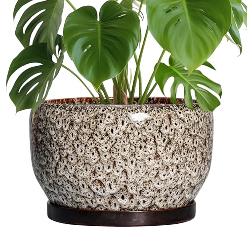 Ceramic Plant Pots