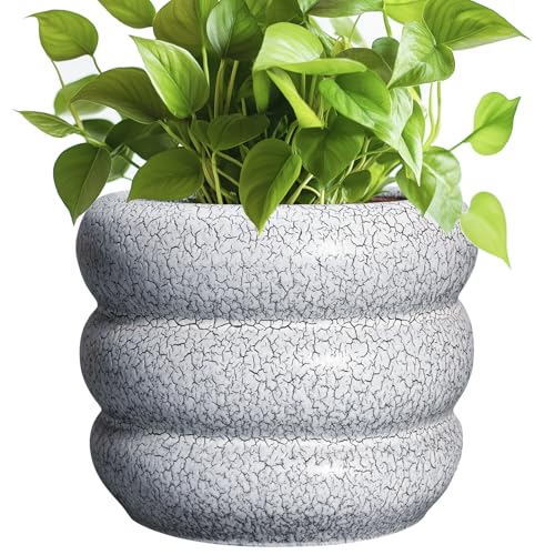 Ceramic Pots for Plants
