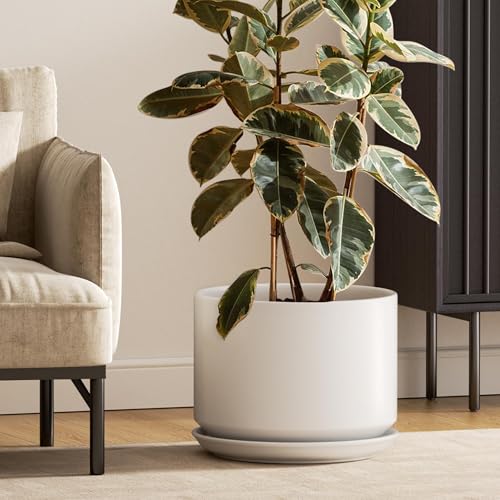 12 Inch Pots for Plants (White / 12")