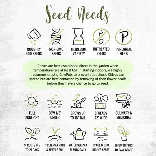 Common Chives Seeds to Plant Heirloom Non (2 Packs)