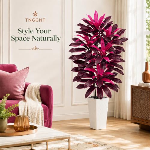 Artificial Dracaena Tree (Magenta – White Pot / 6FT)