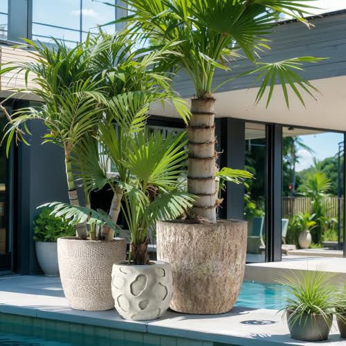 Round Concrete Style Planter Set of 3 (Sandstone)