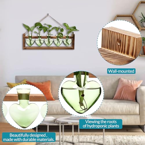 Plant Terrarium Hanging Propagation Stations Gift for Women