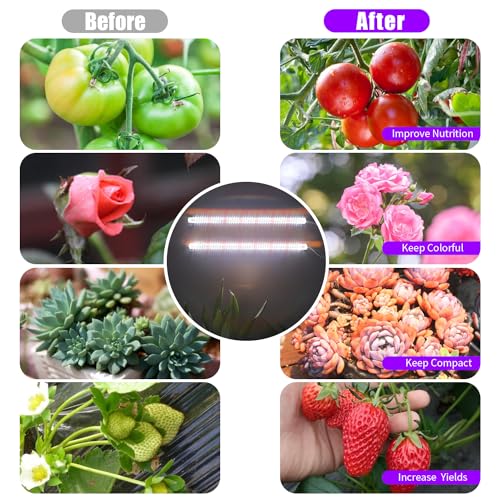 LED Grow Light Strips for Indoor Plants (Red / White / 16Inch 2 Head 2 Pack)
