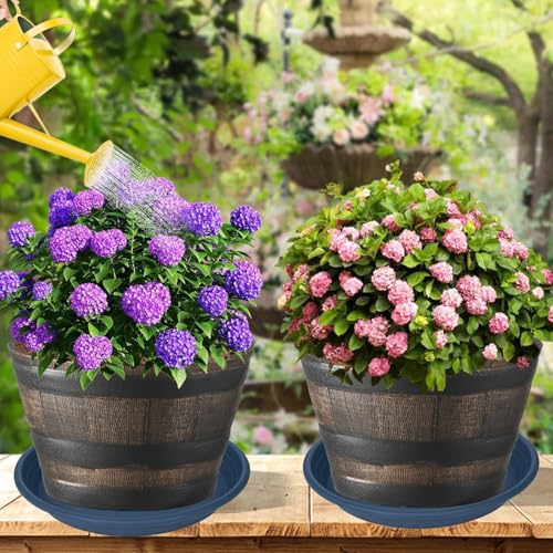 6 Pack of 10 inch Plant Saucer (10" (6 pack) / Blue)