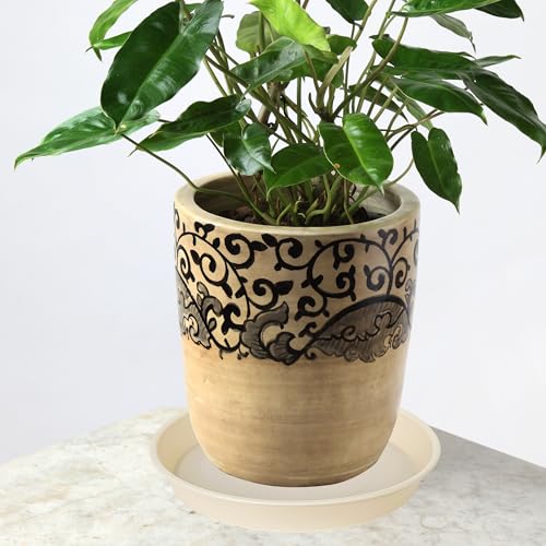 6 Pack of 7 inch Plant Saucer Clear (7" (6 pack) / Beige)