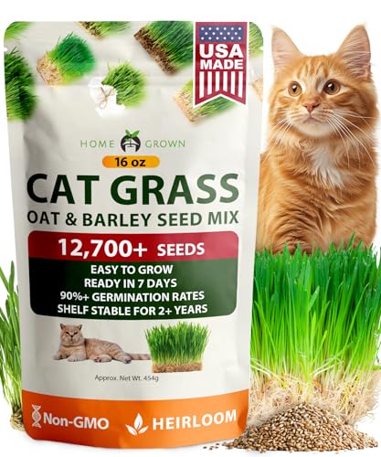 Cat Grass Seeds 16 oz