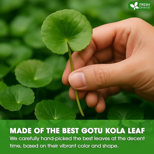 Gotu Kola Leaf Tea (40 Tea Bags)
