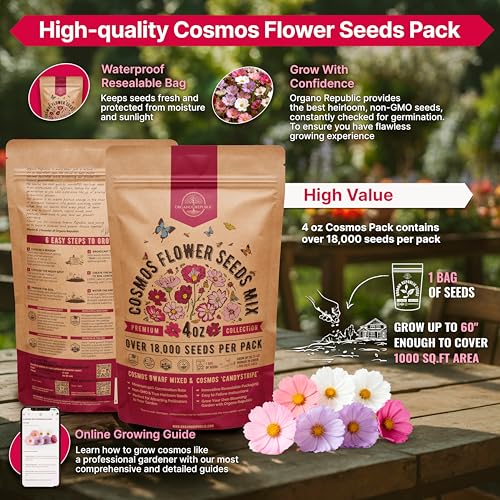 Cosmos Flower Seeds Pack 4 oz