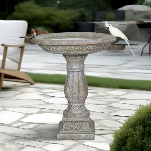 20”Dia.X 23.8”Tall Outdoor Birdbath with Pedestal (Gray / 23.8inch)