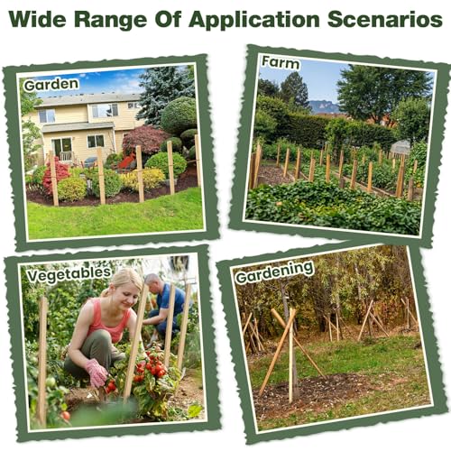 100 Pieces Wooden Garden Stakes 24 Inch Grade and Survey Stakes Wooden Garden and Sign Posts for Plant Support Silt Fence Yard Survey Boundaries Baselines (Smooth Stakes / 24 Inch)