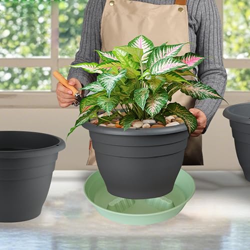 4 Pack Plant Saucer 10 inch (10"-4 Pack / Light_Green)