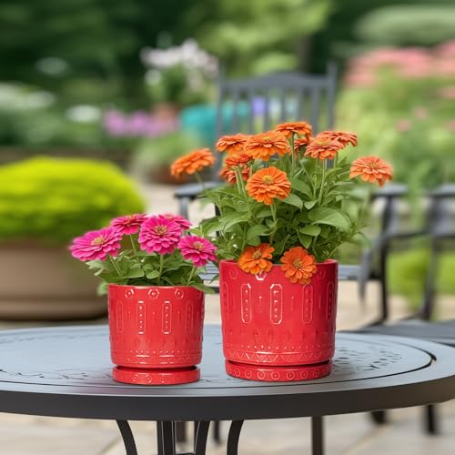 10 Inch Plant Pot (10 Inch / Red)
