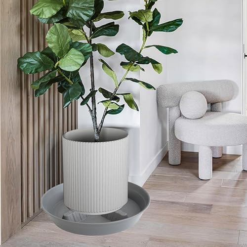 4 Pack Plant Saucer 10 inch (10"-4 Pack / Gray)