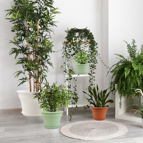 Plant-Pots-Planters-Indoor-Outdoor, 6 inch 6 Pack Terracotta (6 Count)