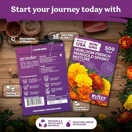 500 French Marigold Heirloom Flower Seeds for Planting